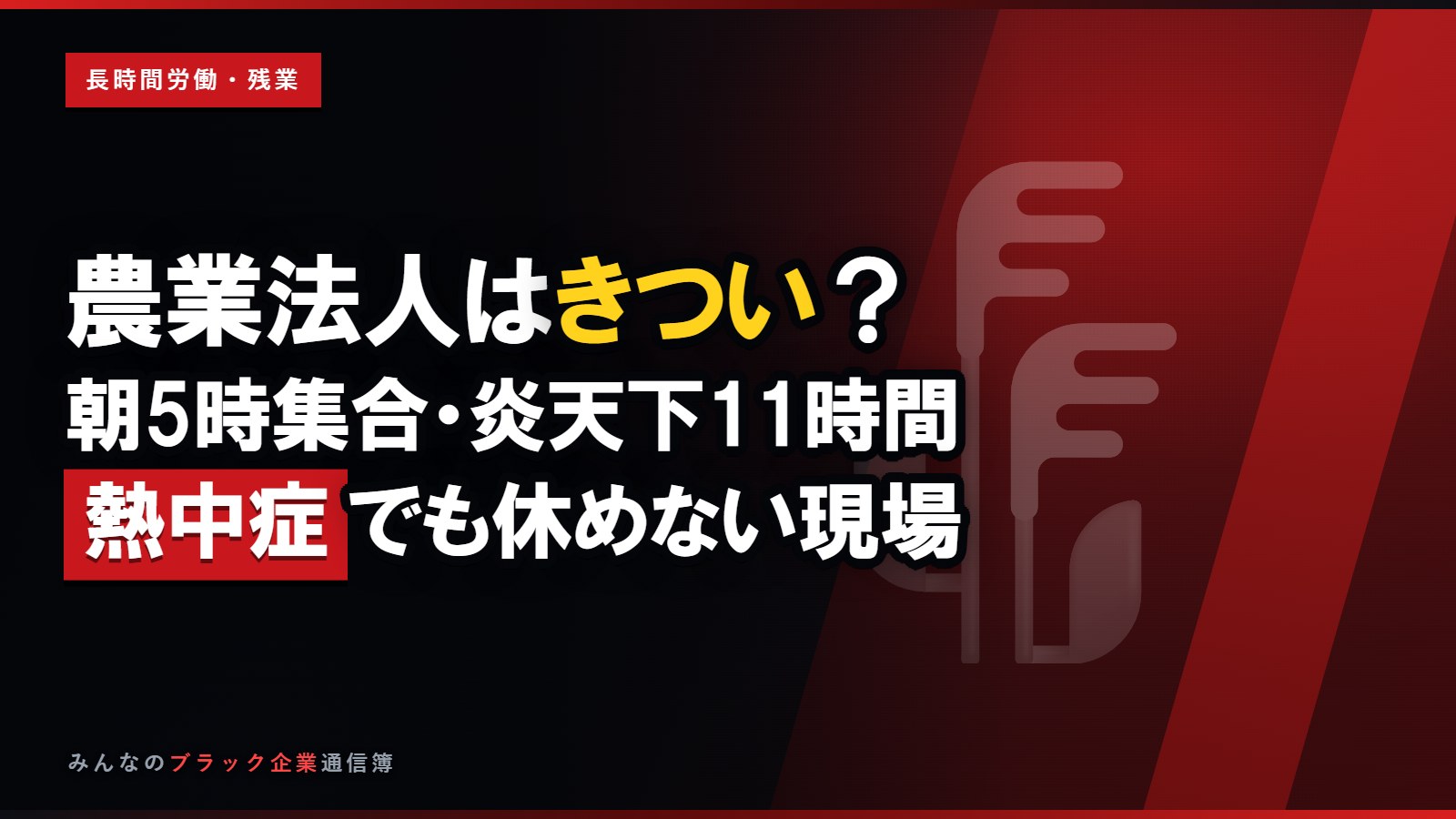 農業法人で働くのはきつい?朝5時集合・炎天下11時間の重労働